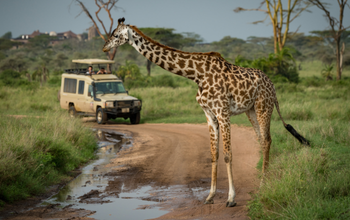 Africa Game Reserves & Safaris to See the Big Five